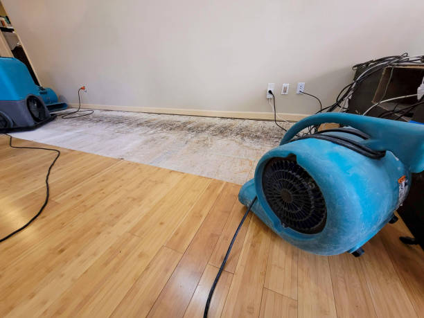 Professional Structural Drying technician working in Oakley, CA